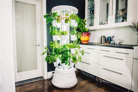 Indoor garden system. The best indoor gardening systems are the AeroGarden and Click and Grow garden kits. They are self-contained gardens that will fit on most kitchen countertops for a real plant-to-plate experience with little hassle. They come with all the needed tools and accessories that you need too. Just add the seeds! 