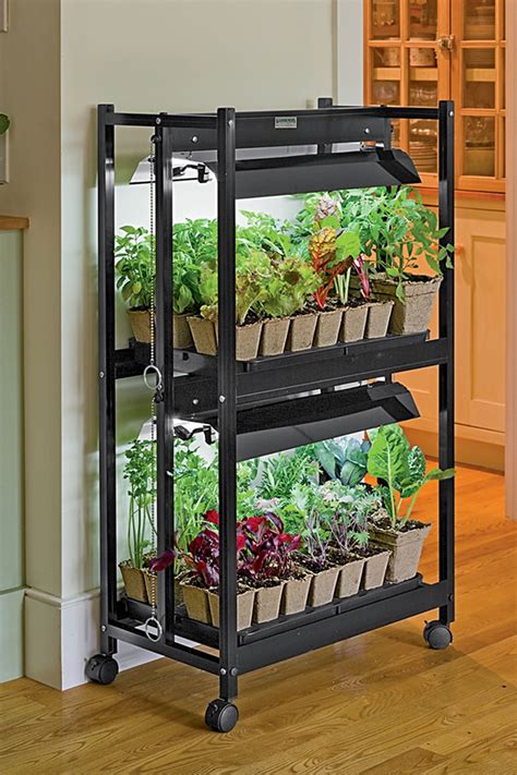 Indoor gardening box set 35 incredible gardening tips to design a successful indoor garden and the ultimate manual. - Cases in financial management solutions manual.