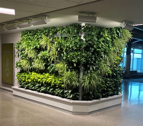 Indoor green wall. With indoor green walls, your plants are living in a temperature-controlled environment. Even during the winter months, you could enjoy a tropical living wall. With outdoor vertical gardens, you are more limited to selecting plants that suit your local climate. Outdoor living walls have the benefit of adding privacy to your backyard. 