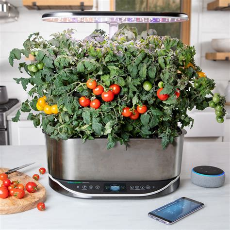 Indoor growing systems. From. $16.95. Add to Cart. Cascading Petunias Seed Pod Kit. From. $13.95. Add to Cart. Grow your own plants with our hydroponic seed starter kits. Get fresh veggies and flowers sprouting from your indoor garden now! 