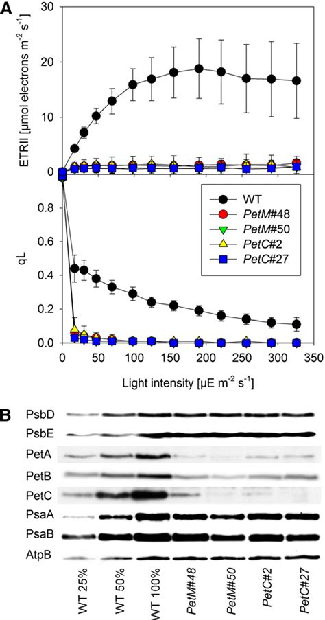 Inducible Repression of Nuclear-Encoded Subunits of the Cytochrome b6f …