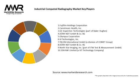 Industrial Computed Radiography Market Report 2024: Evolution …