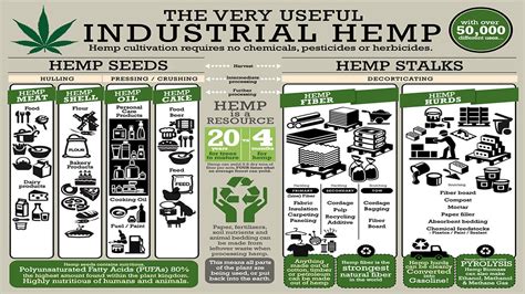 Industrial Hemp Solutions - YouTube