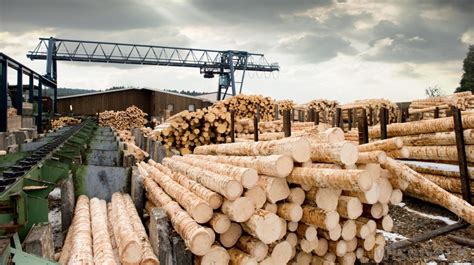 Industrial lumber and plywood. Things To Know About Industrial lumber and plywood. 
