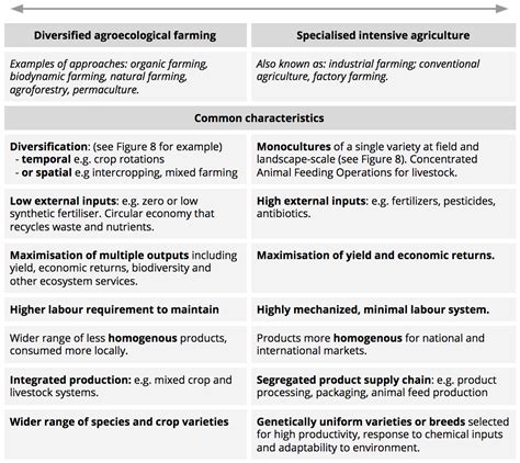 Industrial vs. Organic - Sustainable Table