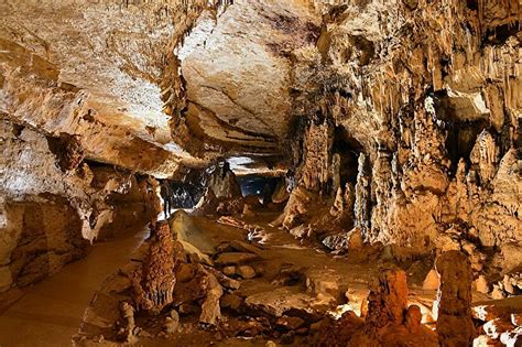 Industries moustériennes de la grotte de l'hyène à arcy sur cure (yonne). - 97 honda civic manuale di riparazione.