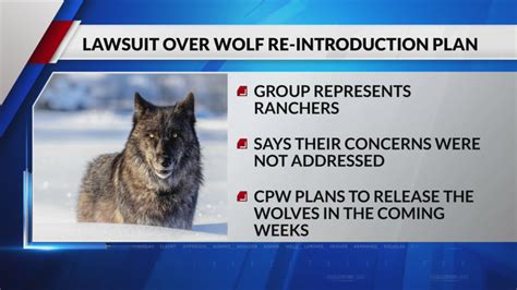 Industry groups sue to delay Colorado wolf reintroduction