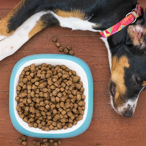 Inexpensive dog food. In this guide, we’ll discuss 5 low cost ways to make any dog food better. 1. Add Sources Of Fresh Protein. Surprisingly, most kibble contains less than 25% protein. That means that most dry foods contain carbohydrates in the neighborhood of 50-60%, despite the fact that dogs have zero biological need for carbs. 