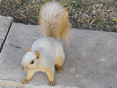 🍆 Infamous-Albino Leaks +18