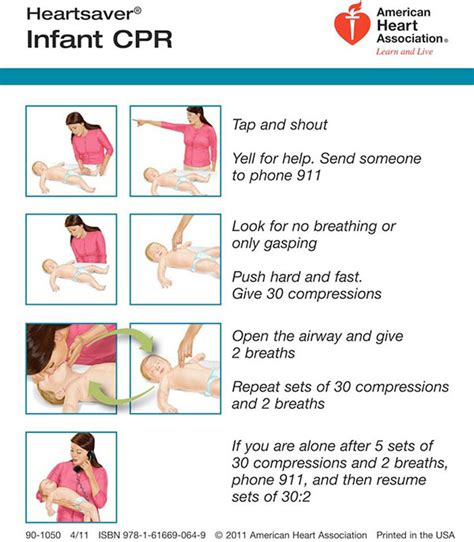 Download Infant Cpr Anytime Personal Learning Program By American Academy Of Pediatrics