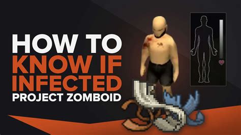 Infected wound project zomboid. When it says infection on an injury, that just means the wound is infected and you need to take antibiotics and disinfect it. But scratches, lacerations and bites can all give you the virus without the wound ever getting infected. The chances of transmitting the virus are about this: Scratches - 7%, Lacerations - 25%, Bites - 100% 