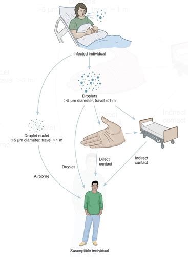 Infection Control Module Flashcards Quizlet