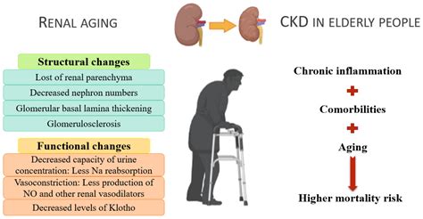 Inflammation and Premature Ageing in Chronic Kidney Disease