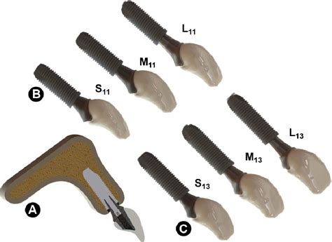 Influence of Abutment Collar Height and Implant Length on Stress ...