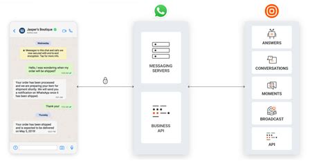 Infobip whatsapp pricing.  Detailed reference for all columns, dimension...