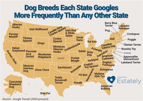 Infodog by state. Things To Know About Infodog by state. 