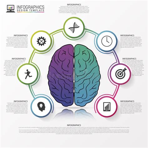 Infographics Template with Brain. Modern Design. Vector Stock Vector