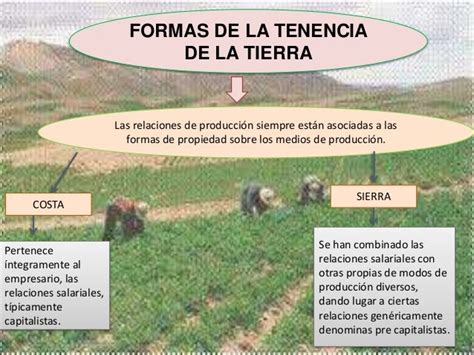 Información general sobre la tenencia de la tierra en lambayeque, antes e después de la reforma agraria. - Alfa romeo gt 1300 junior owners manual.