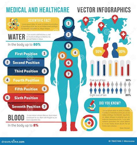 Information Graphics Human Body