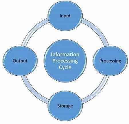 Information Processing Cycle 4 Components [With Example]
