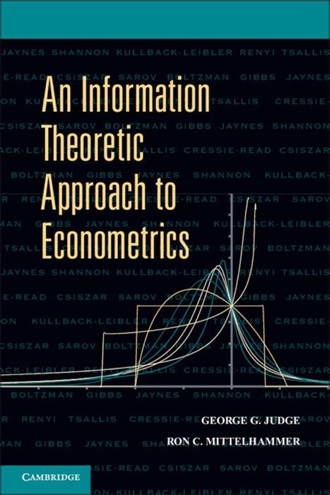 Information Theoretic Econometric Models