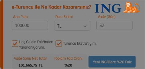 Ing Bank Hesaplama.
