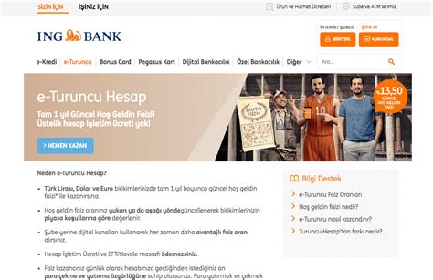 Ing bank e turuncu hesap faiz hesaplaması - Meinkraftgarten.