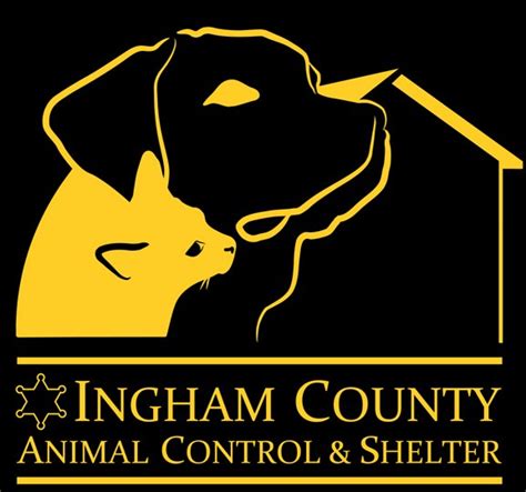 Ingham county animal control. The Ingham County Treasurer's Office will be closed Friday, March 29th in observance of Good Friday. ... and is responsible for sale of dog licenses. The County Treasurer is a member of the Plat Board, the Elections Commission, the County Building Authority, and the County Apportionment Commission. ... Animal Control 517-676-8370 Community ... 