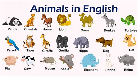 Ingilizcede animals ne demek