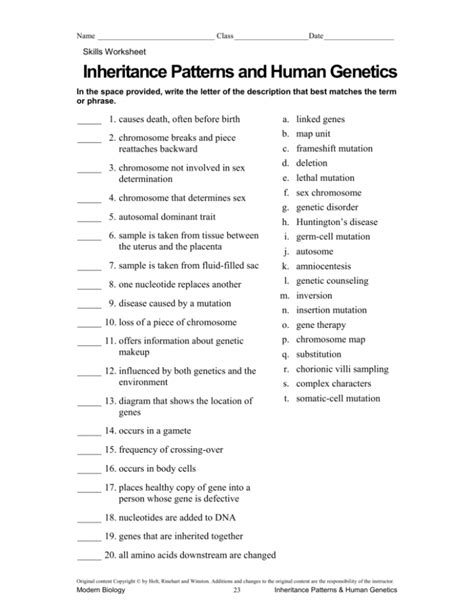 Inheritance Patterns And Human Worksheet Worksheets For