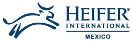 Inicio Heifer. 