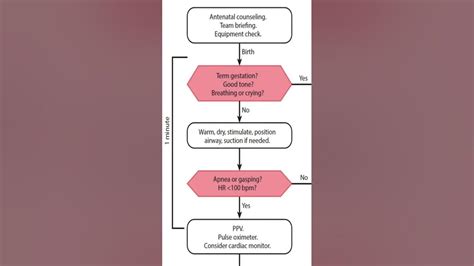 Initial Steps for NRP 8th Edition YouTube