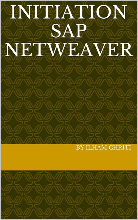 Initiation Sap Netweaver By Ilham Chriti