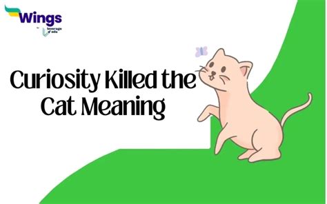 Inject javascript into jpg.  Curiosity killed the cat.  inject javascript into images (B...