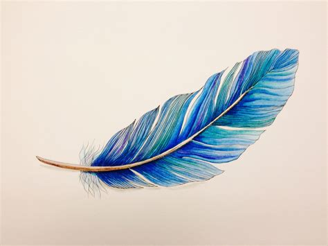 Ink And Feather Drawing