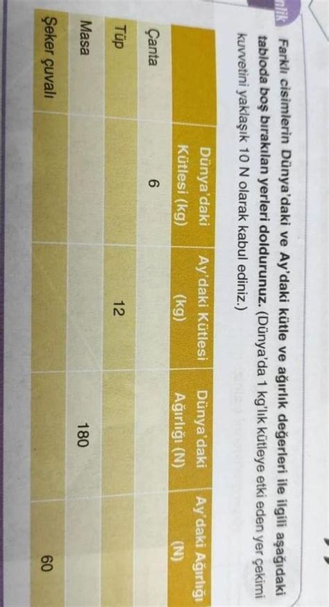 Inlik Halı ve Koltuk Yıkama