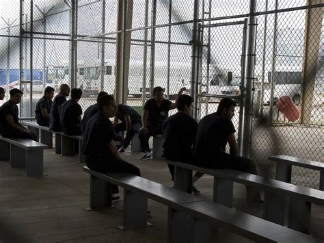 Inmate Search For Immigration Detainees Navigating The Complexities Of
