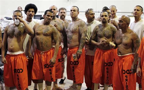 Inmate pictures. Things To Know About Inmate pictures. 