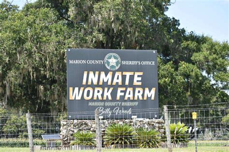 Inmate work farm ocala fl. .  <a href=https://u0102520.cp.regruhosting.ru/ufw7o/index.ph...