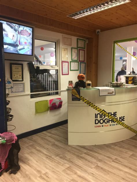 Inn the doghouse. Inn the Doghouse Pet Resort 1548 West 117th Street Lakewood, OH 44107 Ph (216) 651-0873 | FAX: (216) 651-0941 info@innthedoghouse.com 