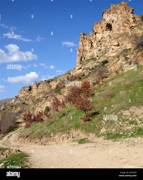 Inozu Halı ve Koltuk Yıkama