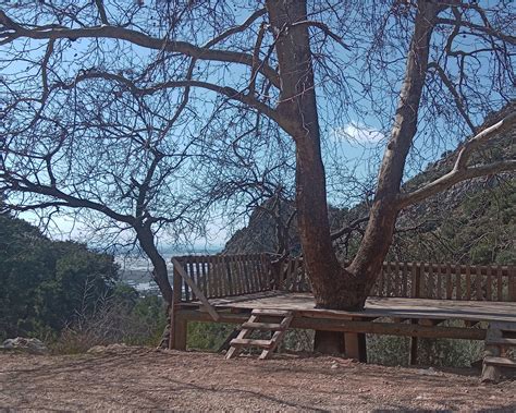 Inpinar Halı ve Koltuk Yıkama