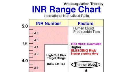 Inr test.  Understand your normal range and what high INR levels can mean for yo...