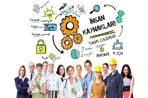 Insan Kaynaklari Gtb Facebook.