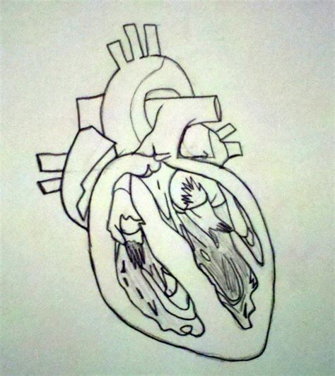 Insan kalbi nasıl çizilir