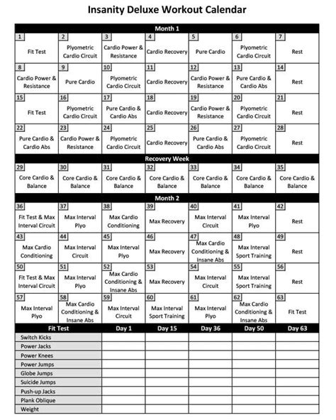 Insanity Max 30 Workout Schedule Excel Kayaworkout.co