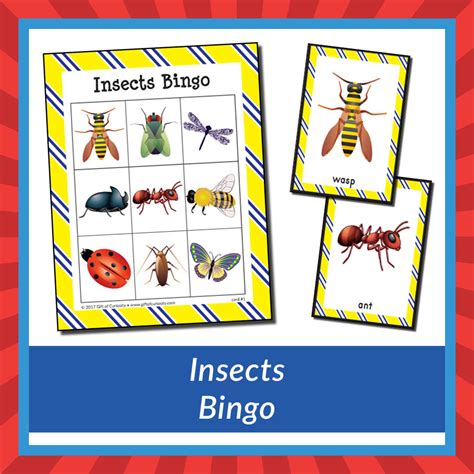 Insect Bingo Game