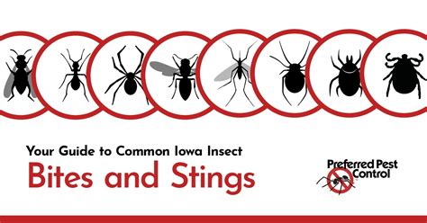 Insect Bites and Stings - Iowa State University