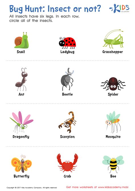 Insect Or Not Worksheet
