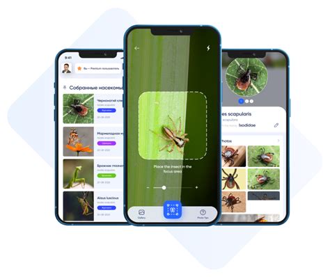 Insect identifier by picture.  Simply upload a photo of any bug you Cu...